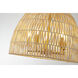 Canada LED 20 inch Brass Chandelier Ceiling Light